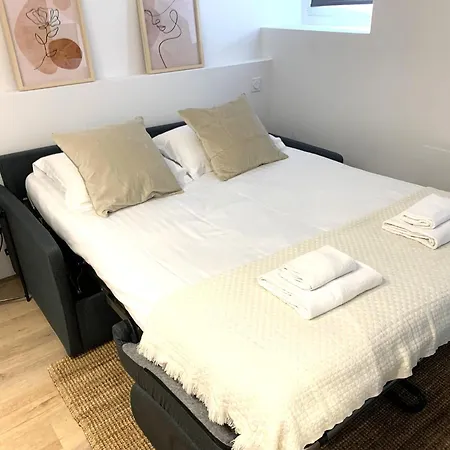 Le Petit Antoine Apartment Pau